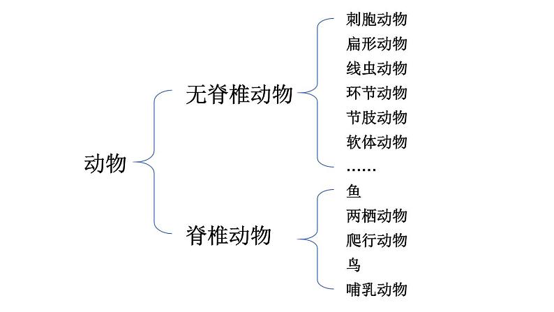 2.2.2 脊椎动物 二 两栖动物和爬行动物 课件-2024-2025学年人教版生物七年级上册01