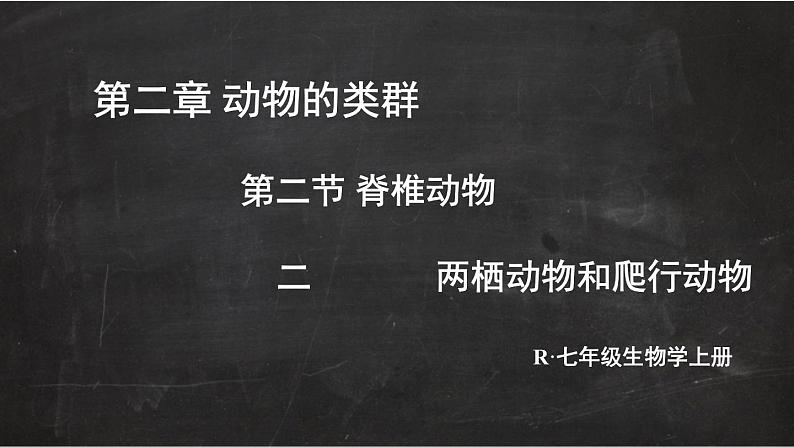 2.2.2 脊椎动物 二 两栖动物和爬行动物 课件-2024-2025学年人教版生物七年级上册02