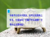 2.2.2 脊椎动物 二 两栖动物和爬行动物 课件-2024-2025学年人教版生物七年级上册