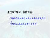 2.2.2 脊椎动物 二 两栖动物和爬行动物 课件-2024-2025学年人教版生物七年级上册