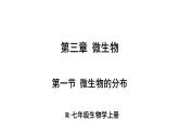 2.3.1 微生物的分布 课件-2024-2025学年人教版生物七年级上册