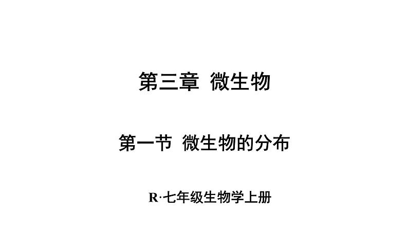 2.3.1 微生物的分布 课件-2024-2025学年人教版生物七年级上册03