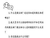 2.3.1 微生物的分布 课件-2024-2025学年人教版生物七年级上册