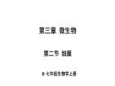 2.3.2 细菌 课件-2024-2025学年人教版生物七年级上册
