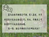 2.3.2 细菌 课件-2024-2025学年人教版生物七年级上册