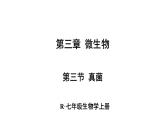 2.3.3 真菌 课件-2024-2025学年人教版生物七年级上册