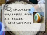 2.3.3 真菌 课件-2024-2025学年人教版生物七年级上册