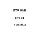 2.3.4 病毒 课件-2024-2025学年人教版生物七年级上册