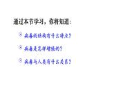 2.3.4 病毒 课件-2024-2025学年人教版生物七年级上册