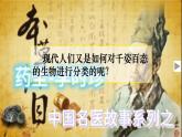2.4.1 尝试对生物进行分类 课件-2024-2025学年人教版生物七年级上册