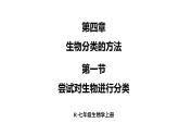 2.4.1 尝试对生物进行分类 课件-2024-2025学年人教版生物七年级上册