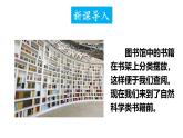 2.4.1 尝试对生物进行分类 课件-2024-2025学年人教版生物七年级上册