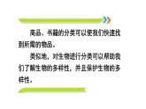 2.4.1 尝试对生物进行分类 课件-2024-2025学年人教版生物七年级上册