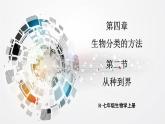 2.4.2 从种到界课件-2024-2025学年人教版生物七年级上册