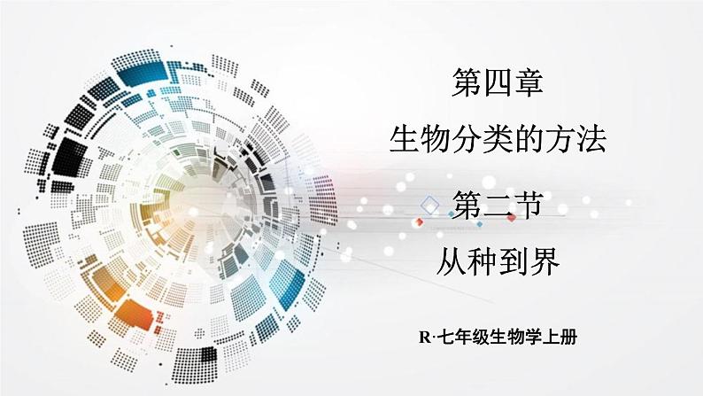 2.4.2 从种到界课件-2024-2025学年人教版生物七年级上册01