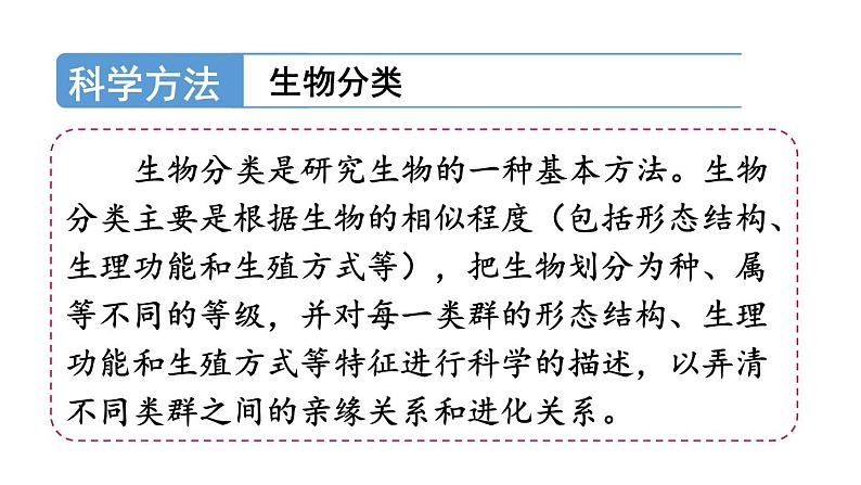 2.4.2 从种到界课件-2024-2025学年人教版生物七年级上册07