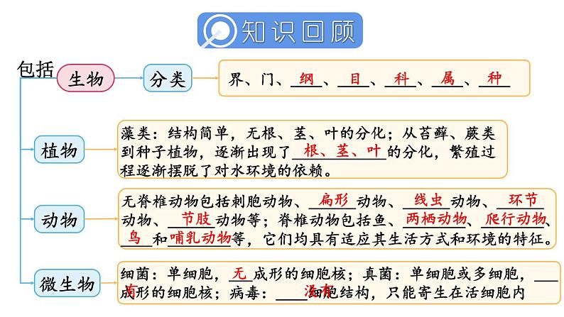 第2单元 多种多样的生物 单元小结 课件-2024-2025学年人教版生物七年级上册02