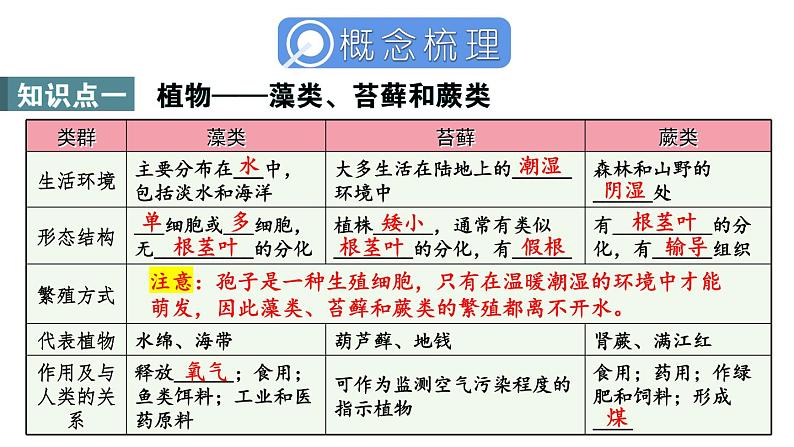 第2单元 多种多样的生物 单元小结 课件-2024-2025学年人教版生物七年级上册03