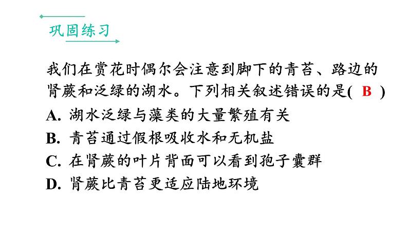 第2单元 多种多样的生物 单元小结 课件-2024-2025学年人教版生物七年级上册04