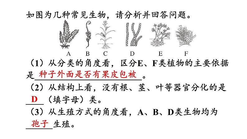 第2单元 多种多样的生物 单元小结 课件-2024-2025学年人教版生物七年级上册07