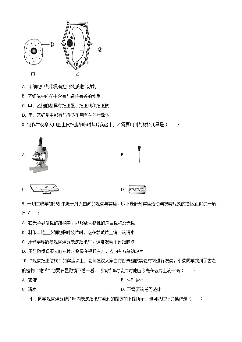 江苏省泰州市泰兴市2023-2024学年七年级下学期期末生物试题（原卷版）第2页