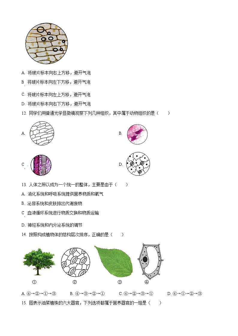 江苏省泰州市泰兴市2023-2024学年七年级下学期期末生物试题（原卷版）第3页