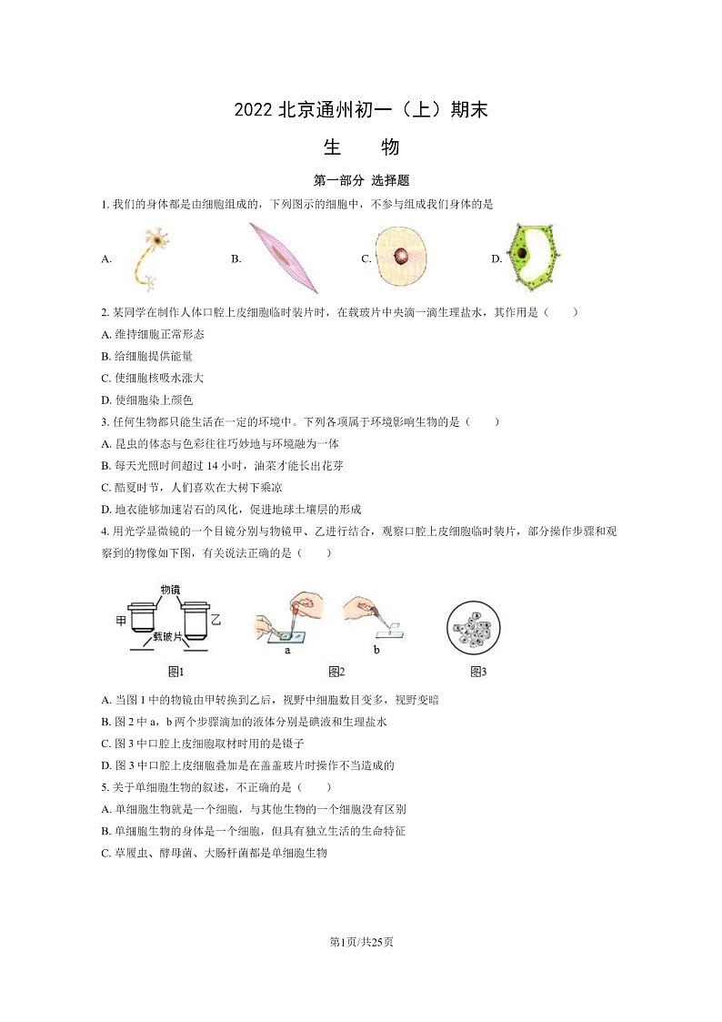 [生物]2022北京通州初一上学期期末生物试卷及答案01