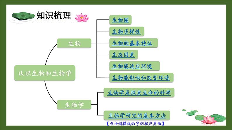 第1章 认识生物和生物学 单元复习 课件--2024-2025学年北师大版生物七年级上册02