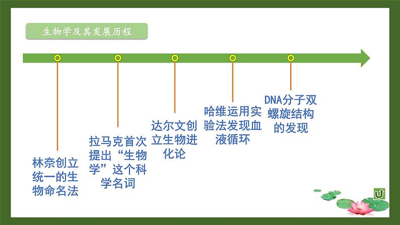 第1章 认识生物和生物学 单元复习 课件--2024-2025学年北师大版生物七年级上册08