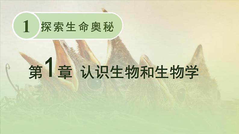 1.1.1 形形色色的生物 课件--2024-2025学年北师大版生物七年级上册01