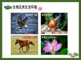 1.1.1 形形色色的生物 课件--2024-2025学年北师大版生物七年级上册