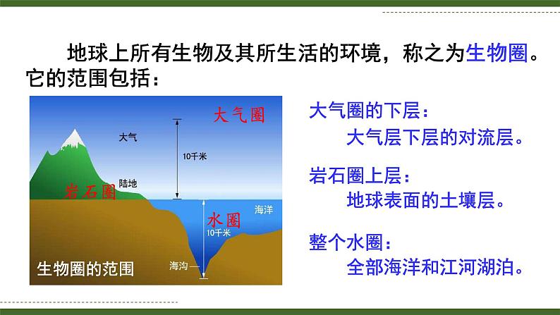 1.1.1 形形色色的生物 课件--2024-2025学年北师大版生物七年级上册06