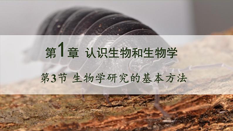 1.1.3 生物学研究的基本方法 课件--2024-2025学年北师大版生物七年级上册01