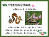 1.1.3 生物学研究的基本方法 课件--2024-2025学年北师大版生物七年级上册