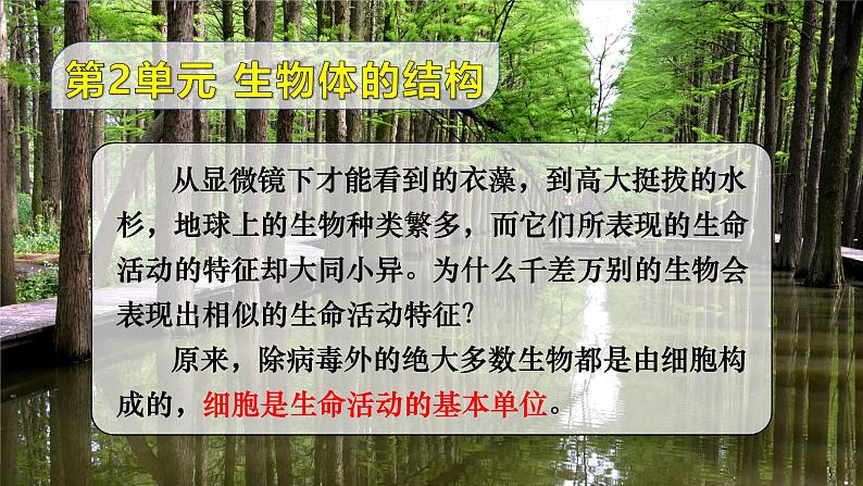 2.2.1 细胞的基本结构和功能 第1课时 显微镜的使用 课件--2024-2025学年北师大版生物七年级上册01