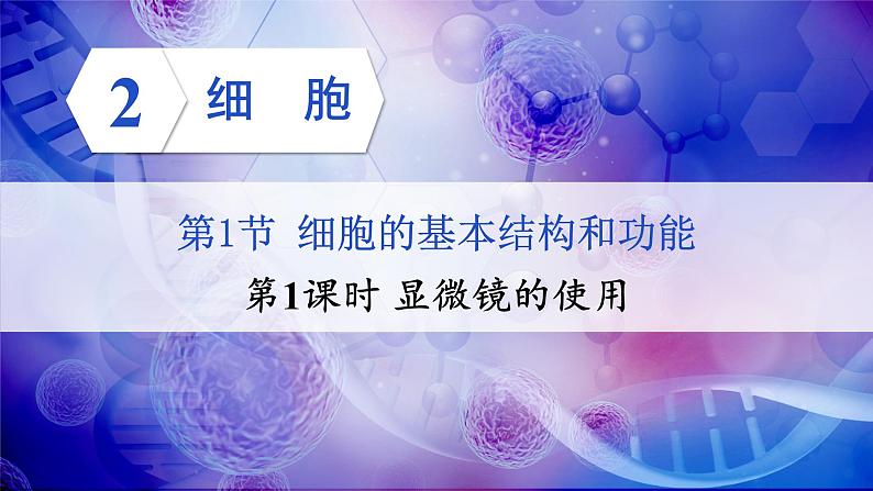 2.2.1 细胞的基本结构和功能 第1课时 显微镜的使用 课件--2024-2025学年北师大版生物七年级上册04