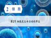 2.2.2 细胞是生命活动的单位 课件--2024-2025学年北师大版生物七年级上册