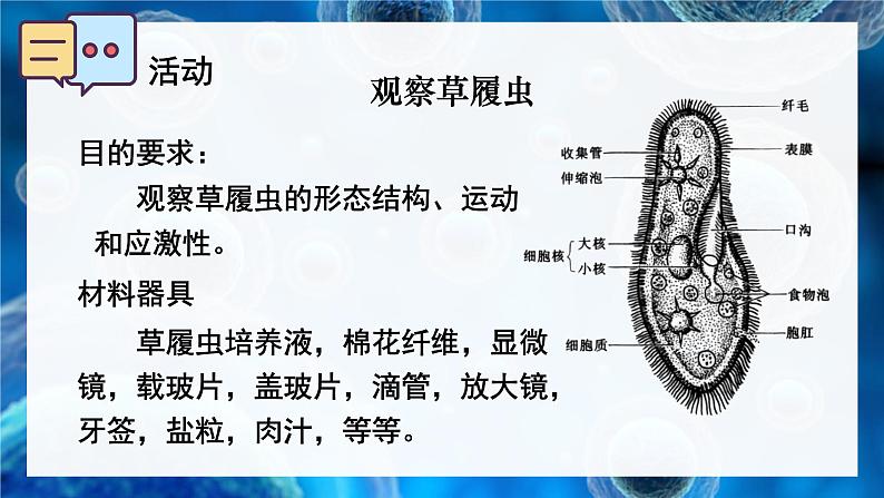 2.2.2 细胞是生命活动的单位 课件--2024-2025学年北师大版生物七年级上册04