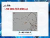2.2.2 细胞是生命活动的单位 课件--2024-2025学年北师大版生物七年级上册