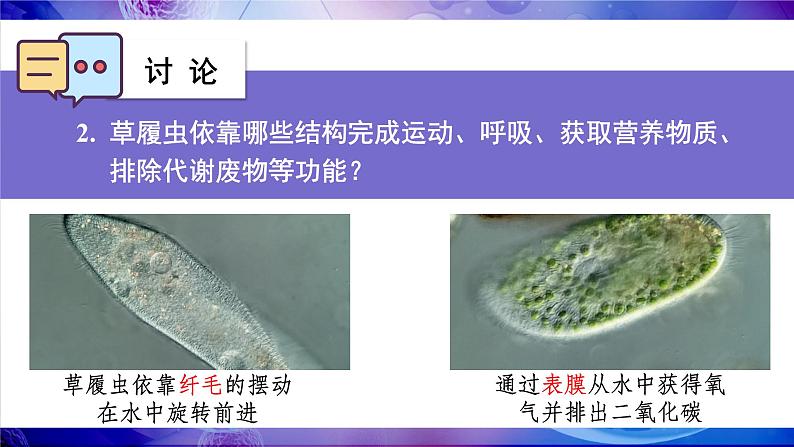 2.2.2 细胞是生命活动的单位 课件--2024-2025学年北师大版生物七年级上册08