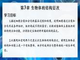 2.3.1 细胞通过分裂而增殖 课件--2024-2025学年北师大版生物七年级上册