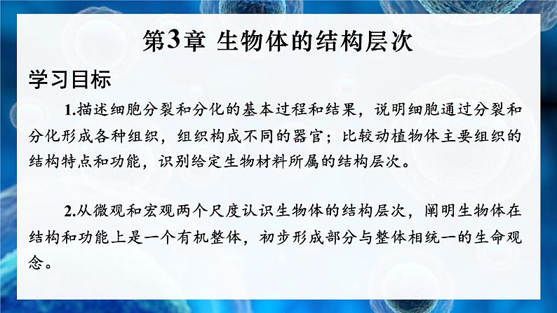 2.3.1 细胞通过分裂而增殖 课件--2024-2025学年北师大版生物七年级上册01