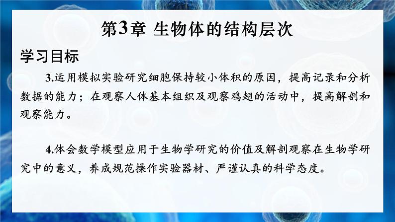 2.3.1 细胞通过分裂而增殖 课件--2024-2025学年北师大版生物七年级上册02