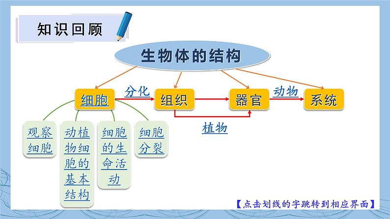 第2单元 生物体的结构 单元复习 课件--2024-2025学年北师大版生物七年级上册02