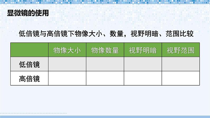 第2单元 生物体的结构 单元复习 课件--2024-2025学年北师大版生物七年级上册04