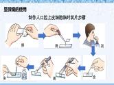 第2单元 生物体的结构 单元复习 课件--2024-2025学年北师大版生物七年级上册