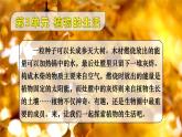 3.4.1 光合作用 第1课时 光合作用的探索 课件--2024-2025学年北师大版生物七年级上册