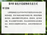 3.4.1 光合作用 第1课时 光合作用的探索 课件--2024-2025学年北师大版生物七年级上册