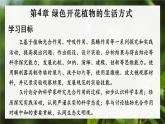3.4.1 光合作用 第1课时 光合作用的探索 课件--2024-2025学年北师大版生物七年级上册
