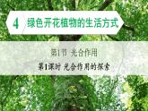 3.4.1 光合作用 第1课时 光合作用的探索 课件--2024-2025学年北师大版生物七年级上册